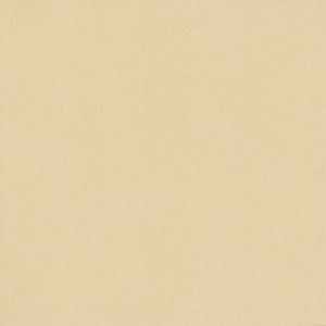 IMPRONTA DECORA LIMONE NU1388 PŁYTKA GRESOWA 80X80